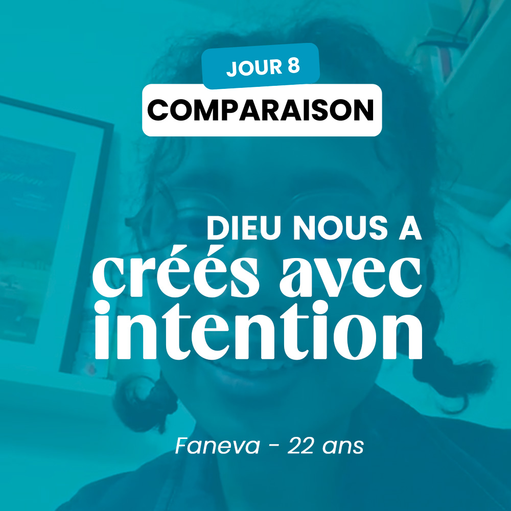 COMPARAISON - JOUR 8