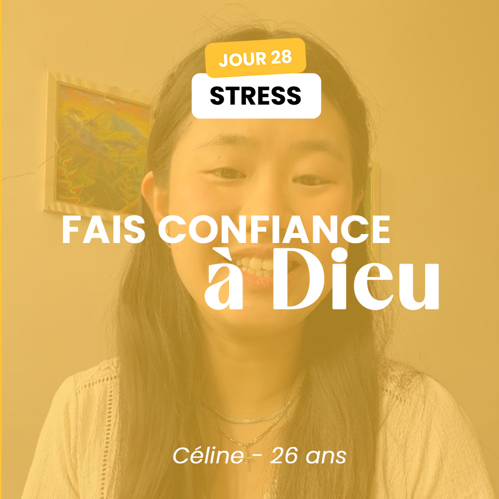 STRESS - JOUR 28